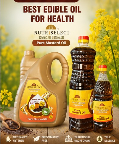 Best Edible Oil for Health Best Edible Oil for Health